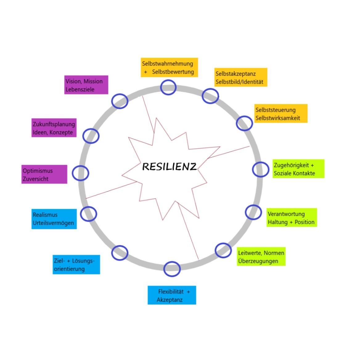 Kreisgrafik – Faktoren zur Resilienz-Entwicklung
