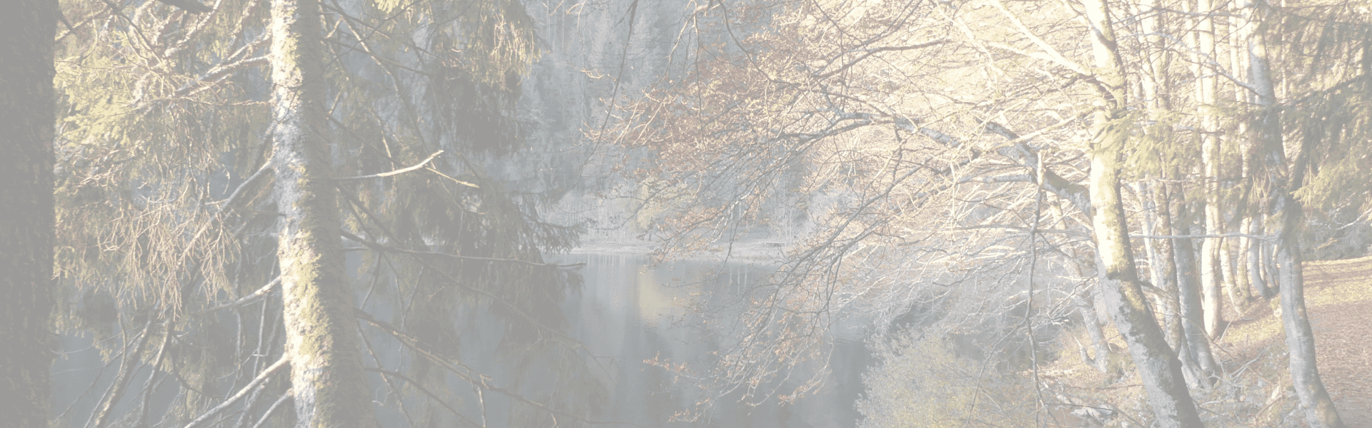 Bild: Feldsee im Morgenlicht von Reinhard Kotter