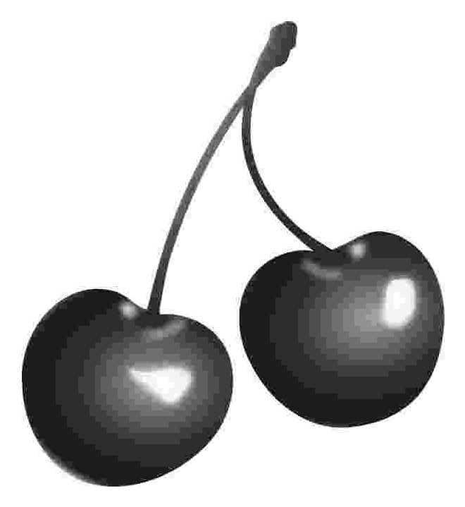 Zwei Kirschen als Paar – Sinnbild für Verbundenheit