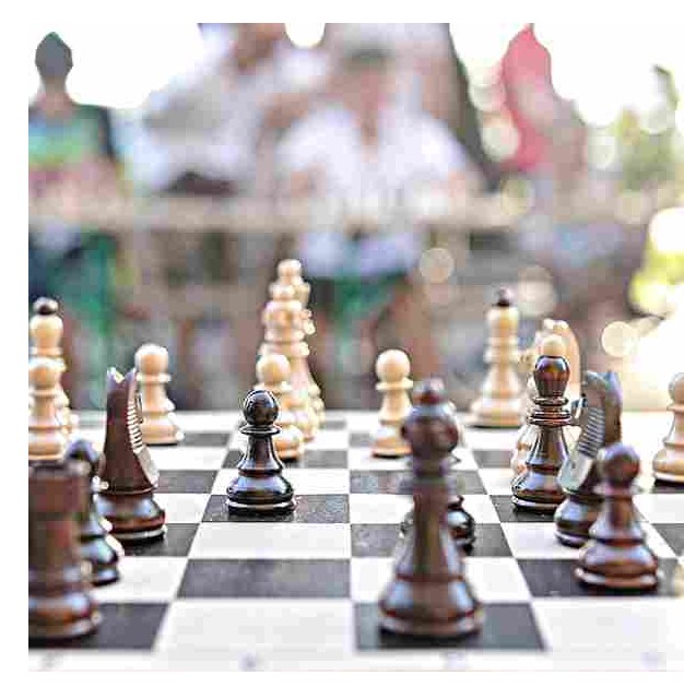 Schachbspiel, symbolisch für inneres Team, Bild von Zvzizmi. pixabay